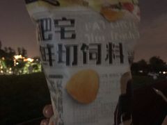 -龙舟池
