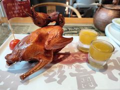 -大鸽饭(北京路店)