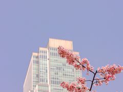 -静安雕塑公园