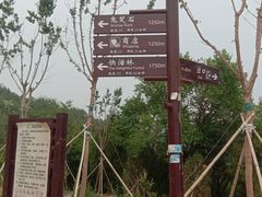 -北京西山国家森林公园