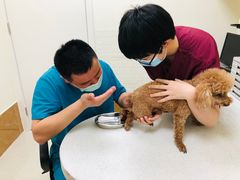 -美联众合动物医院·24h京西诊疗中心