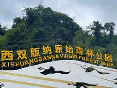 -西双版纳原始森林公园