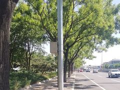 -中国人民抗日战争纪念雕塑园