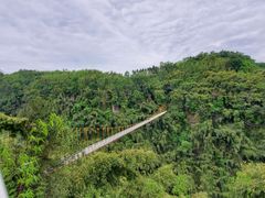 -川西竹海景区