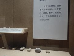 -烟台市博物馆