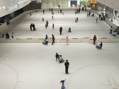 -TheRink大零溜冰场(IFS国金中心店)