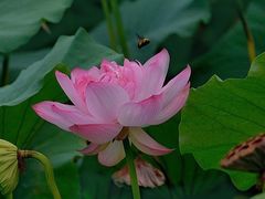 -陶辛水韵