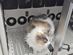 -FAELING PETS美天灵宠物(富力广场店)