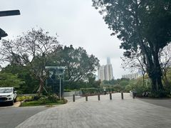 -人民公园(罗湖区)