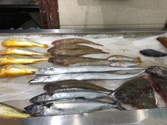 -渔码头食府·20年蓬莱老字号(登州路店)