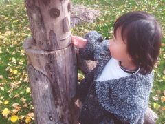 -前小桔亲子创意农场·草莓采摘·露营烧烤