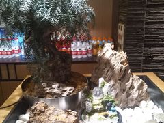 -老板恋上鱼(荣盛广场店)