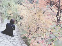 -香山公园-东宫门售票处