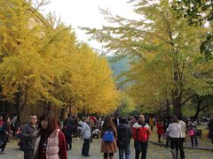 -辽宁大学(崇山校区)