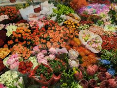 -双季花艺园艺市场(浦东店)