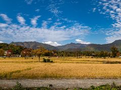 -塔川景区