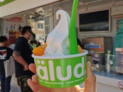 木瓜-Salud撒露欧洲冻酸奶(蓝色港湾店)