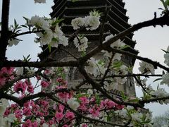 -玲珑塔公园