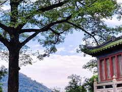 -鼎湖山风景区