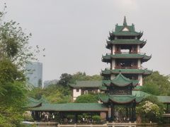 -桂湖森林公园