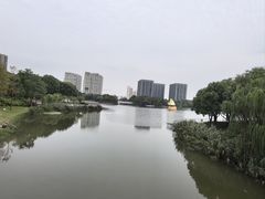 -南翔镇银翔湖公园