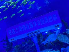 -上海海昌海洋公园