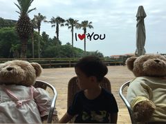 -济州岛泰迪熊博物馆