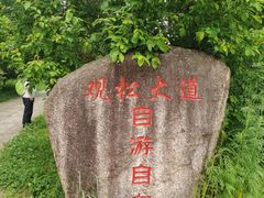 -五营国家森林公园