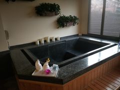 -春晖园度假酒店温泉