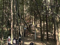 -火炉山森林公园