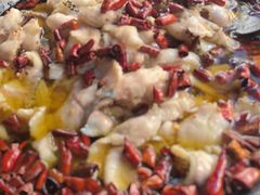 -金三可市井水煮鱼(金碧园店)