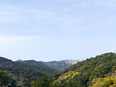 -金龙寺国家森林公园