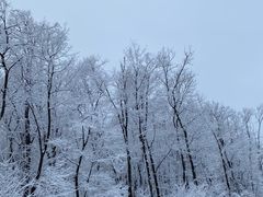 -中旅松花湖滑雪场
