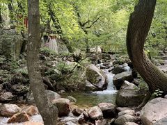 -红崖峡谷景区