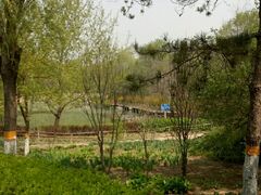 -云岗森林公园