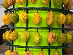 -马来西亚肉骨茶汤·招牌螃蟹·烧鸡·呷喱吧吧(海上世界店)