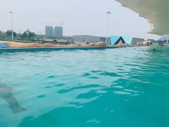 -泉城欧乐堡水上世界