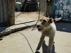 -北京群众马术培训基地