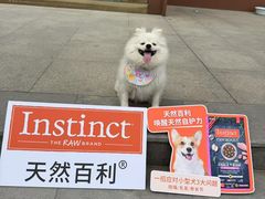 -南京商厦