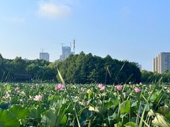 -苏州东太湖生态园