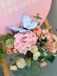 -郑州缔莱美医疗美容医院