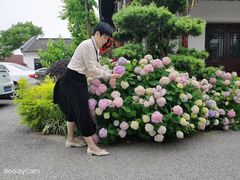 -鹅湖玫瑰文化园
