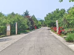 -北京鹫峰国家森林公园