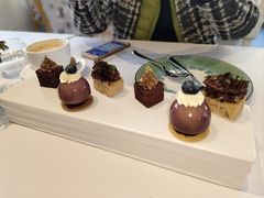 -蝶舍·MAISON PAPILLON