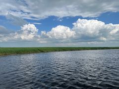 -黑龙江扎龙生态旅游区