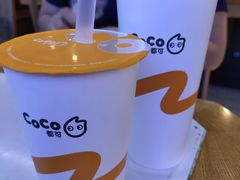 -CoCo都可(安河桥华联店)
