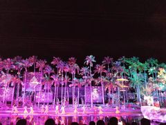 -三亚红色娘子军演艺公园景区