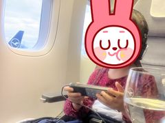 -德国汉莎航空公司