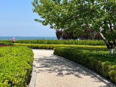 -东港音乐喷泉广场