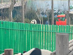 -西霞口神雕山野生动物世界